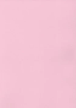 Page 5 of The Hard Core