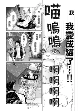 Page 14 of 可怕的臭臉君對貓很癡迷