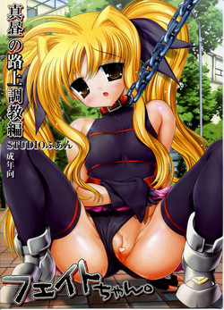 Download Fate-chan. Mahiru no Rojou Choukyou Hen