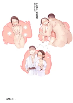 Page 4 of Hahagui 3 yarichin ryokohen~