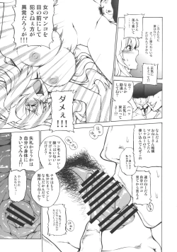 Page 13 of Playing Gensoukyou Now