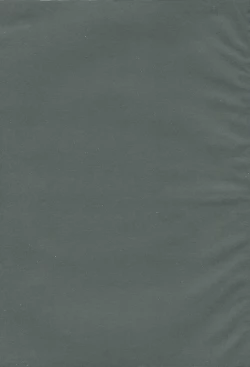 Page 2 of Akui Senyuu