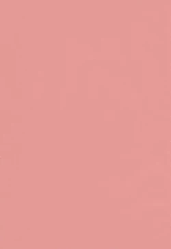 Page 4 of Are oharai shimasu?