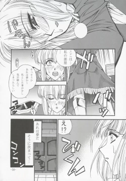 Page 29 of GUROW Vol.I