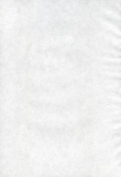 Page 2 of Toriaezu Ippatsu de