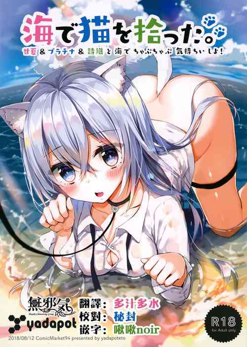 Download Umi de Neko o Hirotta.