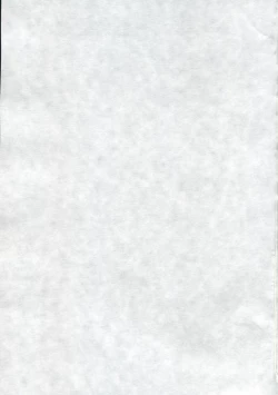 Page 27 of Hatsujouki no Sugoshikata.