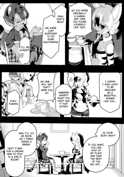 Page 1 of My Maltese