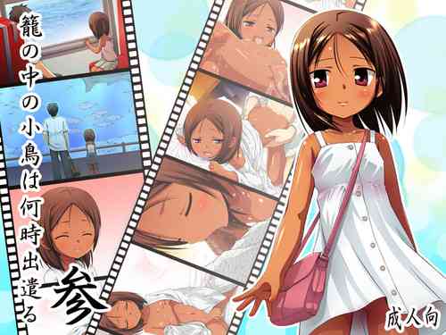 Download Kago no Naka no Kotori wa Itsu Deyaru San Sousaishikiban