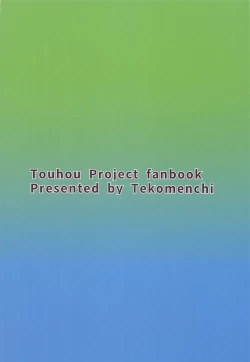 Page 27 of Kawashiro Nitori to Himitsu no Meiyuu | 河城荷取與秘密的盟友