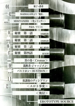 Page 11 of Erototype