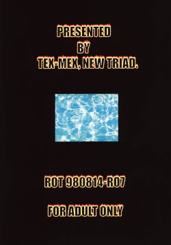 Page 33 of Ground Zero