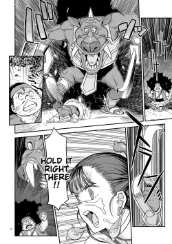 Page 37 of Dragon Quest One Thousand and One Nights