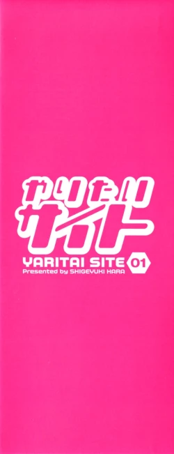 Page 3 of Yaritai Site 1