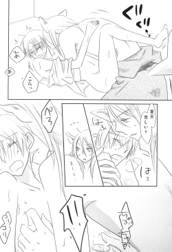 Page 21 of Kogitsune no Ongaeshi