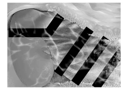 Page 93 of Migawari Kyousei Mesu Kobi