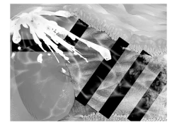 Page 94 of Migawari Kyousei Mesu Kobi