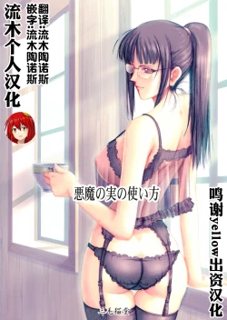 Page 2 of Akuma no Mi no Tsukaikata