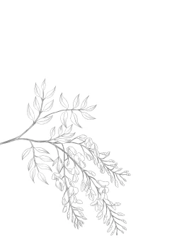 Page 20 of Hikari no Kimi no Saganaki Keikaku <Fujitsubo>