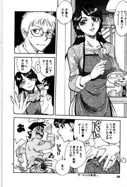 Page 31 of Himitsuna Okusama