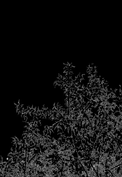 Page 3 of Kowaku no Mori