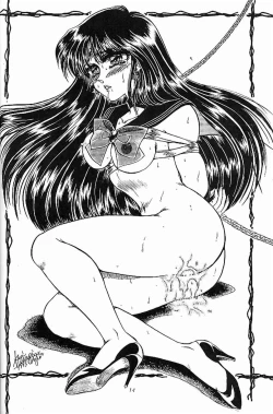 Page 13 of Sailor Moon Kaizou Keikaku