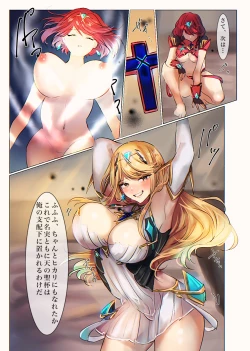 Page 10 of Xenoblade 2 Homura & Hikari Nottori