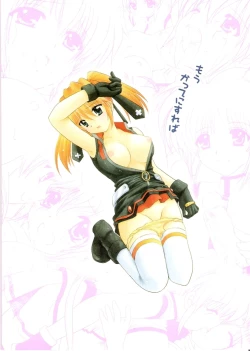 Page 26 of Zettai☆Nanoha StrikerS