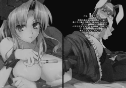 Page 4 of Eirin no Kusuri de Udonge ga Hidoi Meniau Hon | Terrible things happen to Udonge due to Eirin's drugs Book