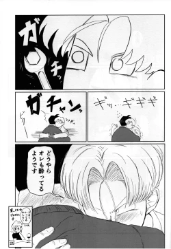 Page 25 of 2022 Nen Ban Tadashii Dakikata