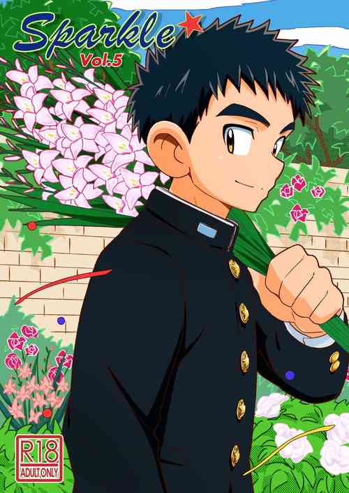 Download Sparkle Vol. 5