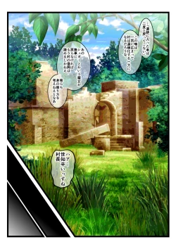 Page 41 of Haiboku Reijou