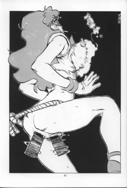 Page 40 of Suisei Liquid R