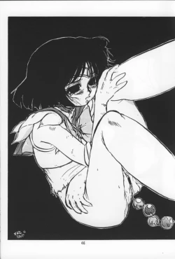 Page 45 of Suisei Liquid R