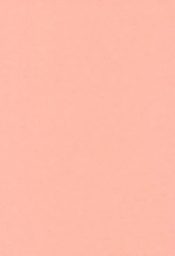 Page 15 of Tachinbo Majo