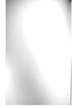 Page 31 of Shishou! Name Sasete Kudasai