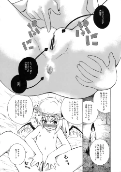 Page 25 of 魔法少女がちんこ勝負 キ印良品ふたなり陵辱本愛憎版［2007年～2009年］