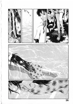 Page 39 of SUNFLOWER