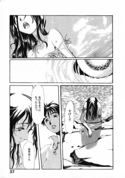 Page 40 of SUNFLOWER