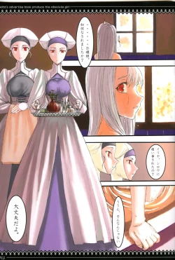 Page 12 of Fate/stay night llyasviel von Einzbern