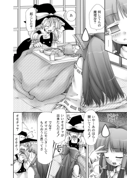 Page 6 of Touhou Reishisou