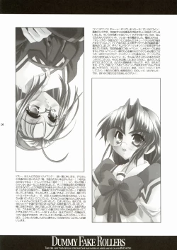 Page 3 of Dummy Fake Rollers