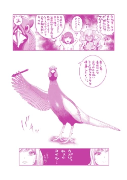 Page 207 of Chie to Karen no Dosukebe Sex Match