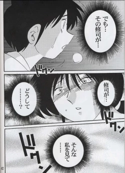 Page 41 of Hisae Haitoku Nikki Shiori no 3