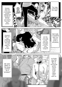 Page 18 of Elf Oyako Seidorei Ichiba nite Hanbaichuu