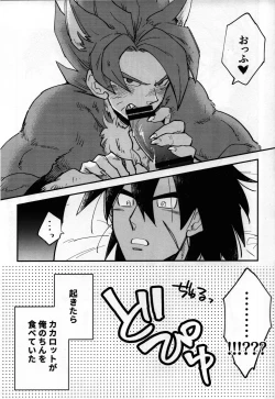 Page 4 of SUPER WOLF