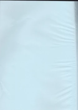 Page 2 of supāku shinkan sharu on'naaruji `futari't