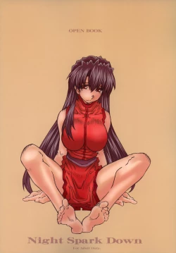 Page 58 of Night Spark Down