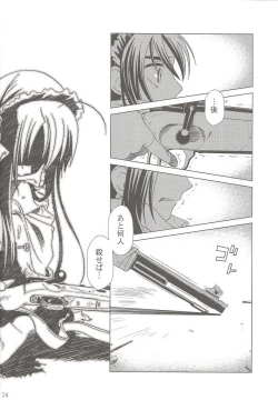 Page 24 of SS 3 Edelweiss