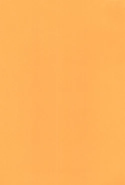 Page 25 of Anime Imouto Ou 2